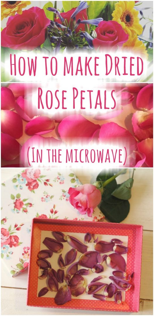 How to dry rose petals (and how not to dry them).... The Diary of a
