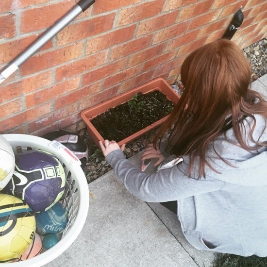 Get out in the garden and  help them grow something.  We have a small herb garden.