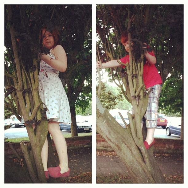 6. This is an addition that the kids made to my list - climbing trees!