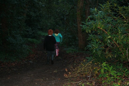 A walk in the woods is spookier in the rain!