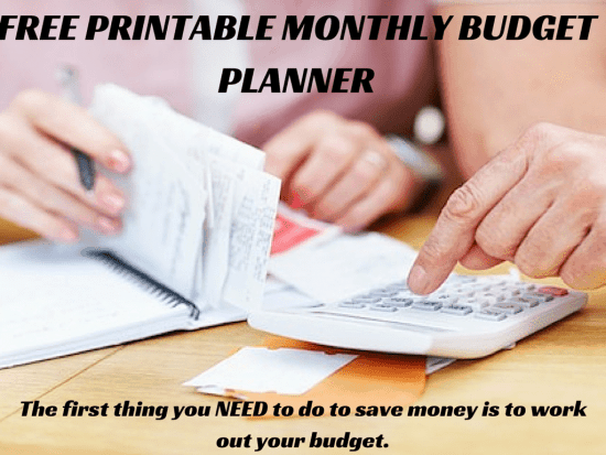 Free Printable Budget Planner (3)