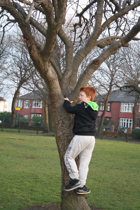 Go to the park - climb a tree, play hide and seek, feed the ducks and have fun!