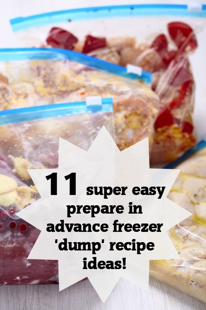 Garlic and Lemon Chicken and 10 other super easy 'dump' recipe ideas {Batch Cooking} {Slow Cooker}....