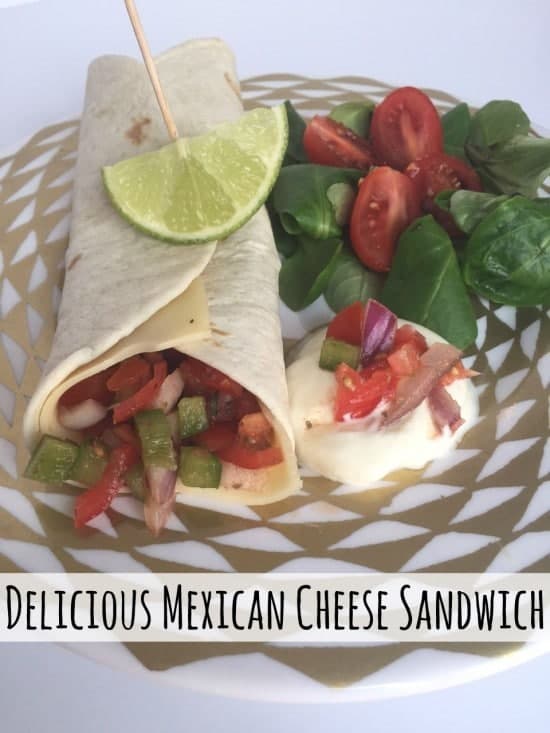 Delicious mexican cheese sandwich
