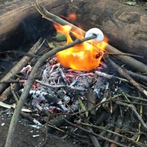 Toasting Marshmallows