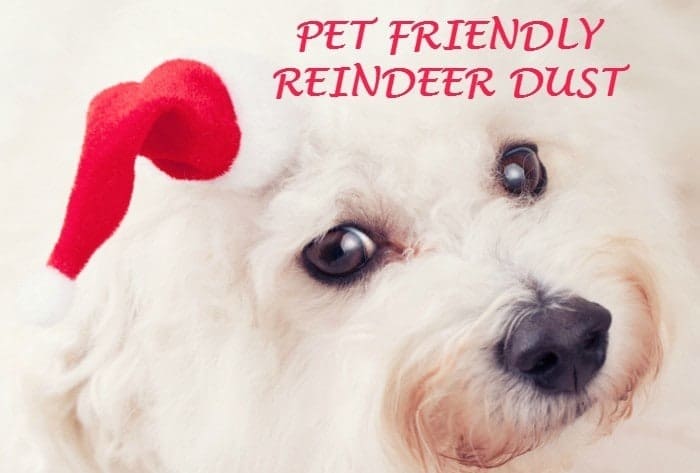 PET FRIENDLY REINDEER DUST