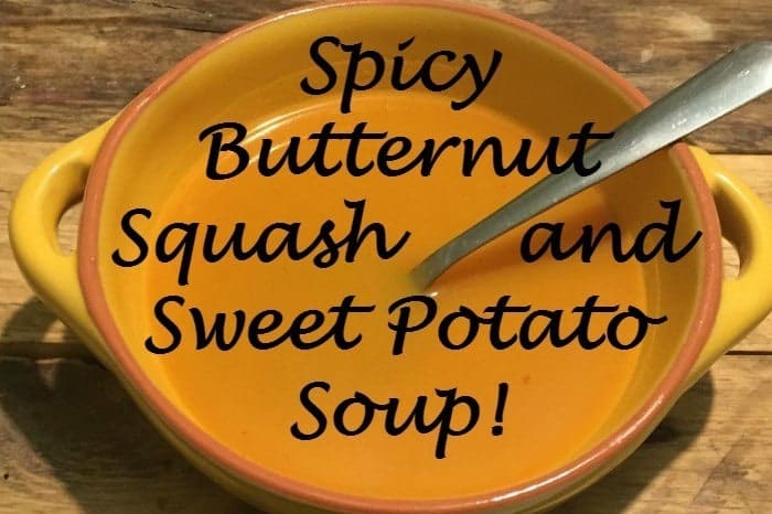 Spicy Butternut Squash and Sweet Potato Soup!