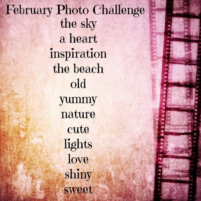 February Photo Challenge