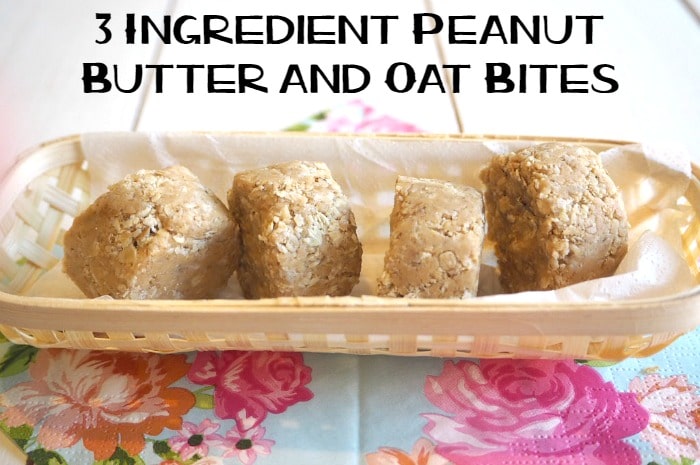 3 Ingredient Peanut Butter and Oat Bites....