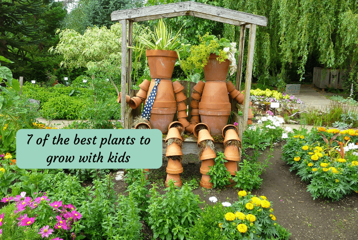 7 of the best plants to grow with kids