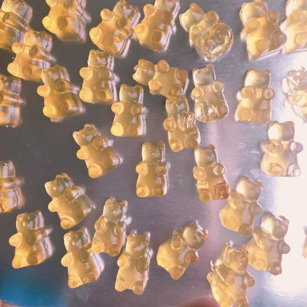 Real Fruit Juice Gummy Bears... The Diary of a Frugal Family