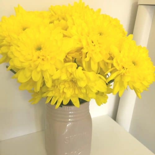 Let's Test Tesco flowers 14 day freshness guarantee.... The Diary of a Frugal Family