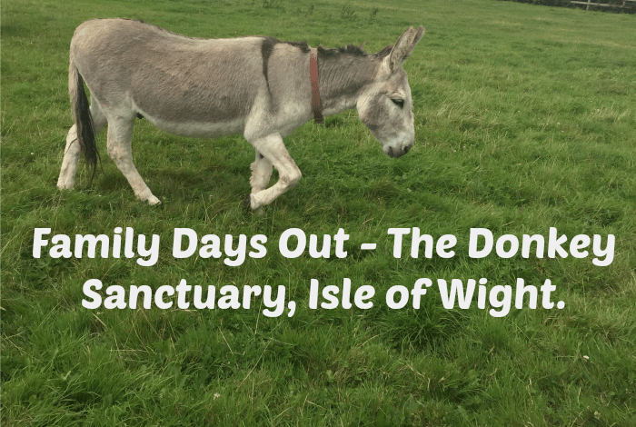 Family Days Out - The Donkey Sanctuary, Isle of Wight....