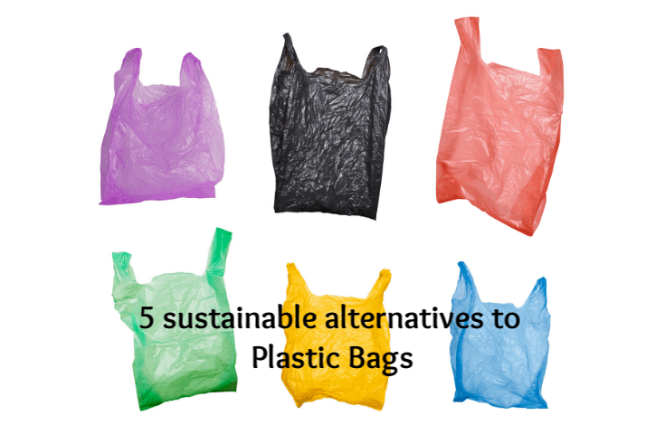 Five alternatives to plastic bags.