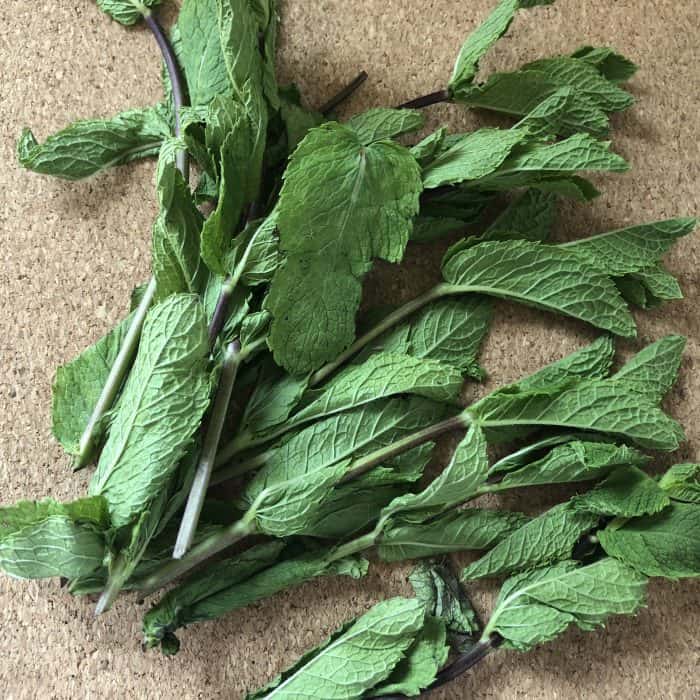mint leaves for the freezer