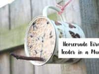 Homemade Bird Feeder in a mug....