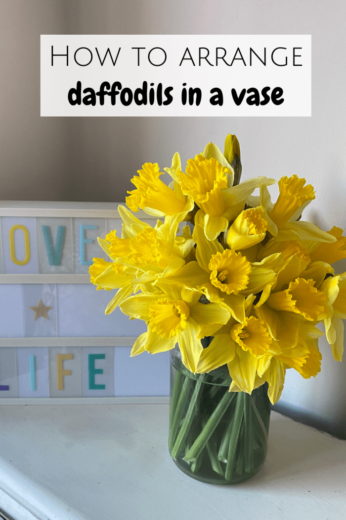 How to arrange daffodils in a vase