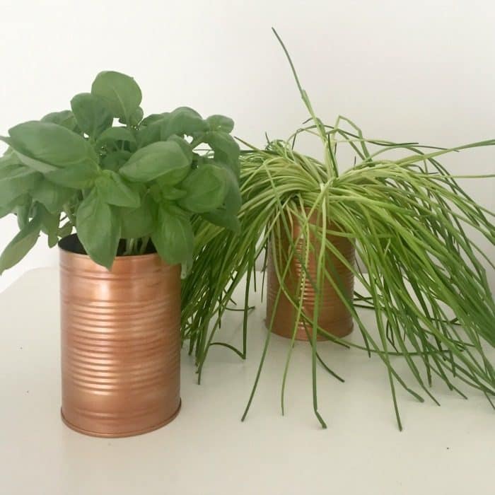 How to turn a tin can from the recycling pile into something pretty....