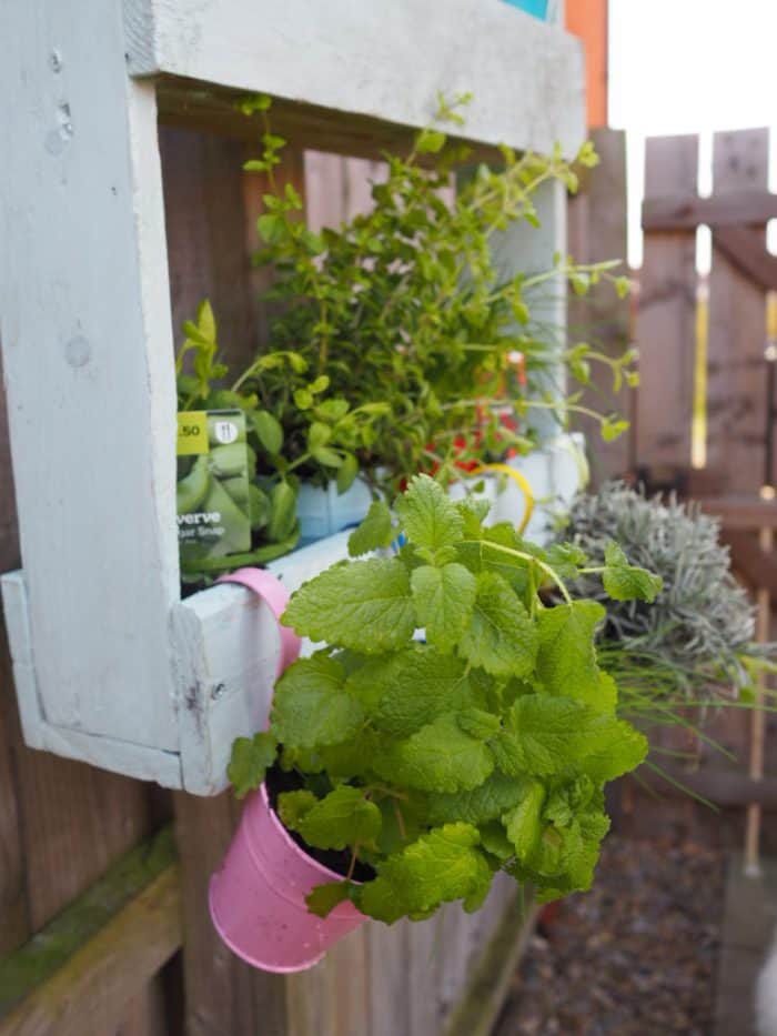DIY Herb Garden