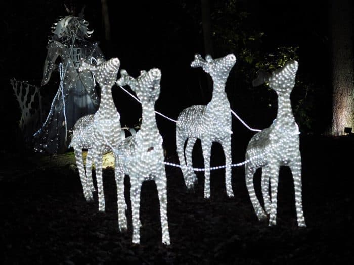 The Enchanted forest at Stockeld Park Christmas Adventure