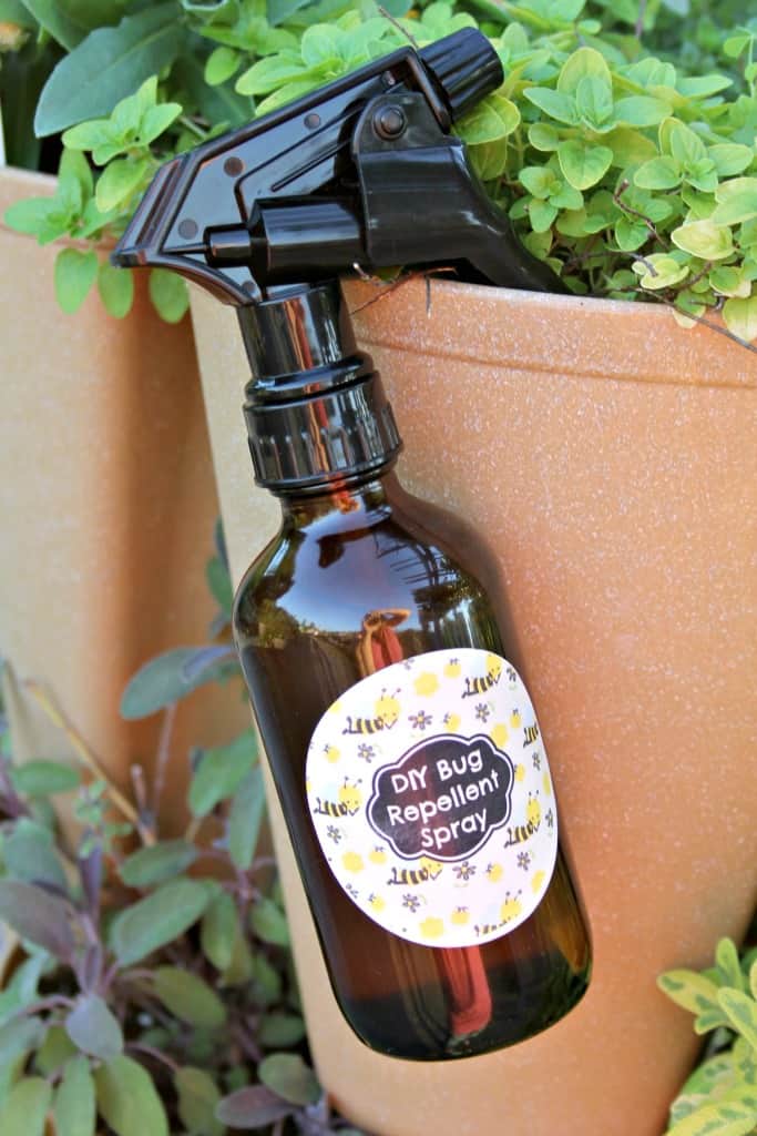 This DIY Essential Oils Bug Spray is just what you need to keep the bugs away this Summer without the harsh chemicals of the shop bought bug repellents!