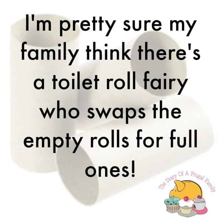 im-pretty-sure-my-family-think-theres-a-toilet-roll-fairy-who-swaps-the-empty-rolls-for-full-ones