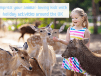 Impress your animal-loving kids with holiday activities around the UK