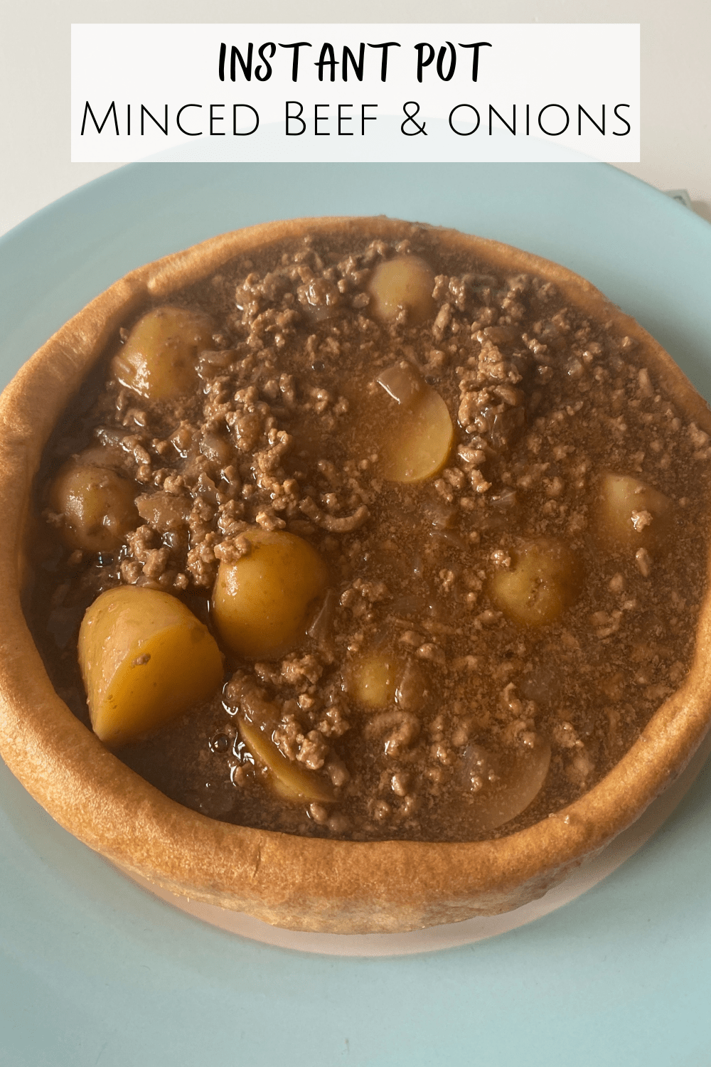 Instant Pot Minced Beef and Onions Recipe.... The Diary of a Frugal