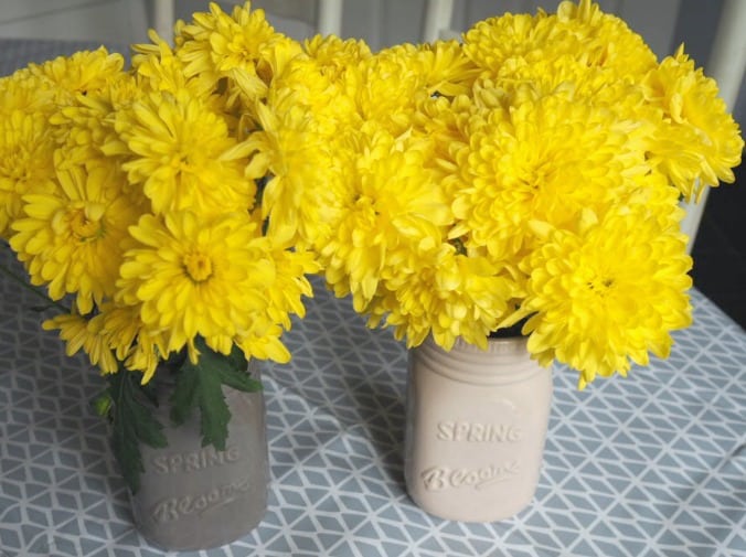 Let's Test: Tesco flowers 14 day freshness guarantee....