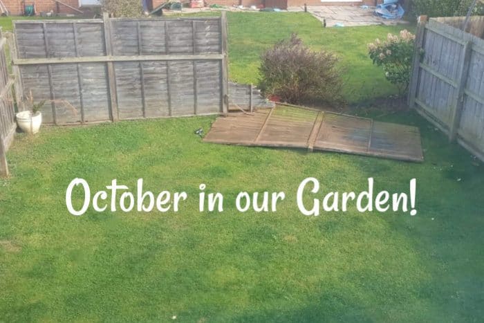 October in my garden