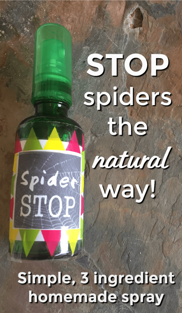 STOP spiders the natural way with this three ingredient homemade spray....