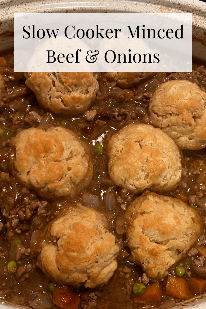 Slow Cooker Minced Beef & Onions Recipe