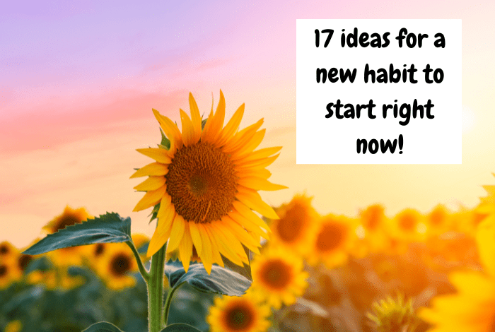 Ten ideas for a new habit to start right now… (1)