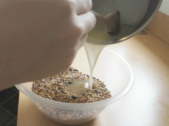 What you need to make a Homemade bird feeder in a mug.