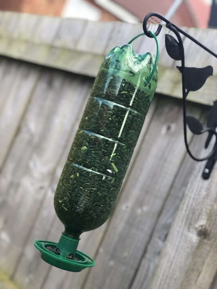 Amazing little bottle bird feeder!