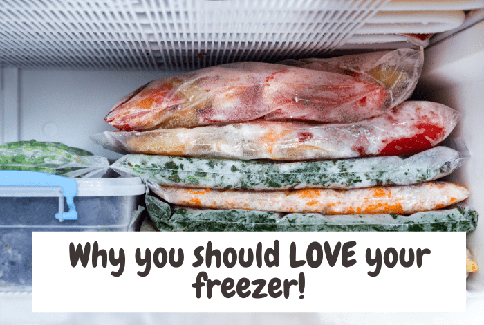 why you should love your freezer